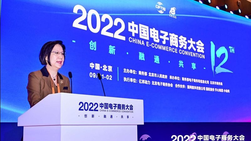 电商ERP软件安装实施：揭秘高效运营的幕后推手